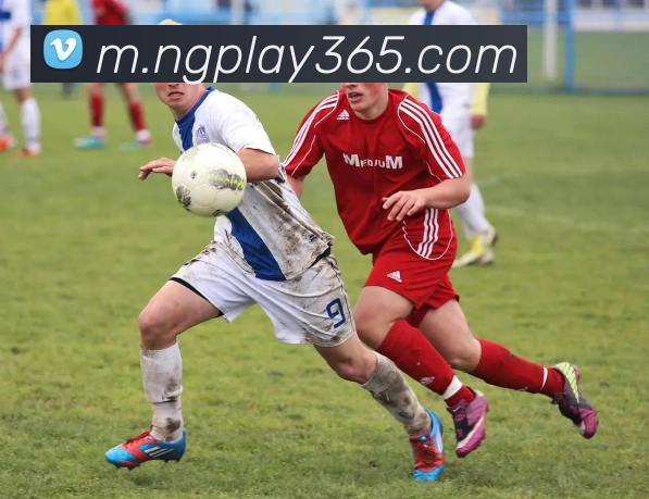 NG体育APP 高清赛事图